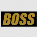 boss视频在线版