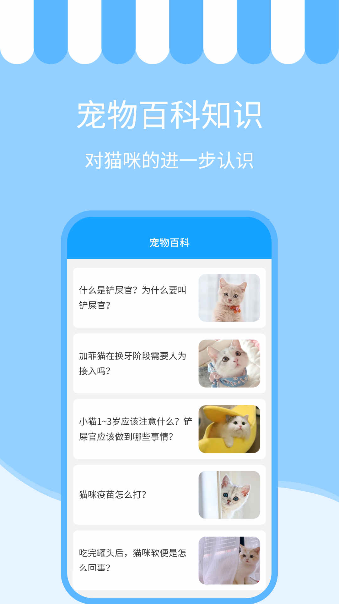人猫交流神器app去广告版截图2