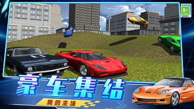 急速飙车3D游戏去广告版截图1