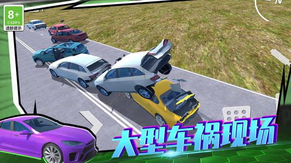 狂野赛车3D游戏官方正版截图2