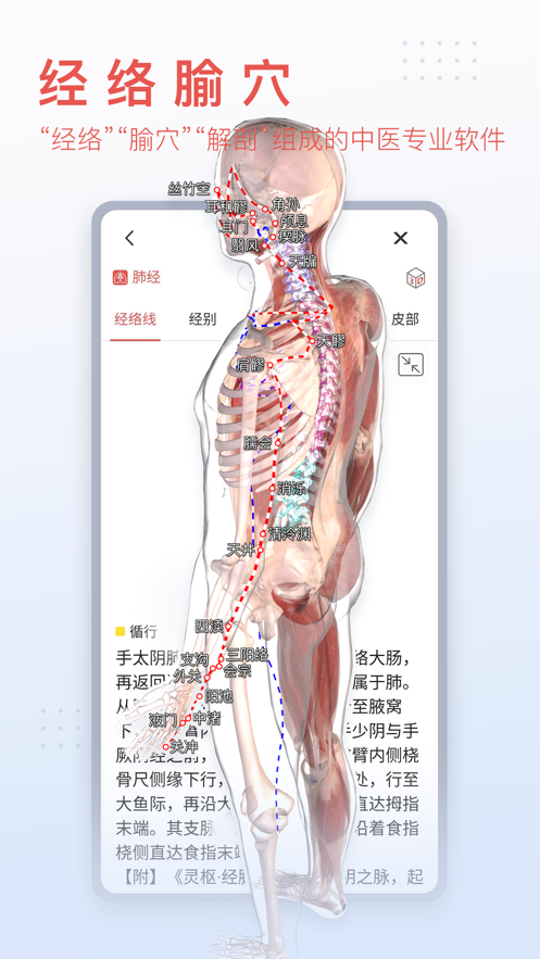3dbody解剖图安卓手机版