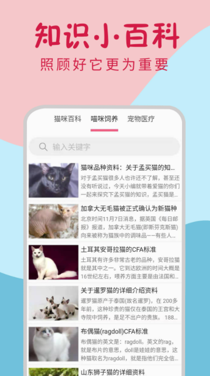 小猫翻译器app汉化版截图3