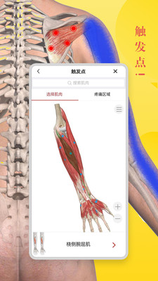 3dbody解剖学软件手机版