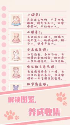 猫咪养成：云撸猫官网版