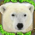 终极北极熊模拟器2无限经验版