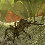 蚂蚁模拟